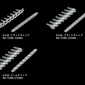 BS-TUBE_PCR