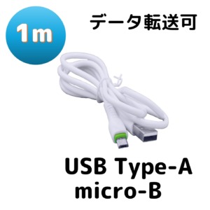 BS-USBSG1-ABH