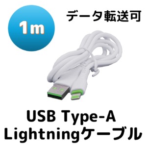 BS-USBSG1-ALH