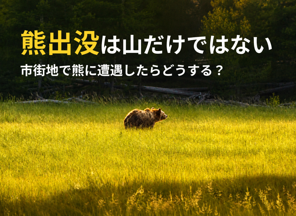 草地を歩く熊と「熊出没は山だけではない 市街地で熊に遭遇したらどうする?」の文字